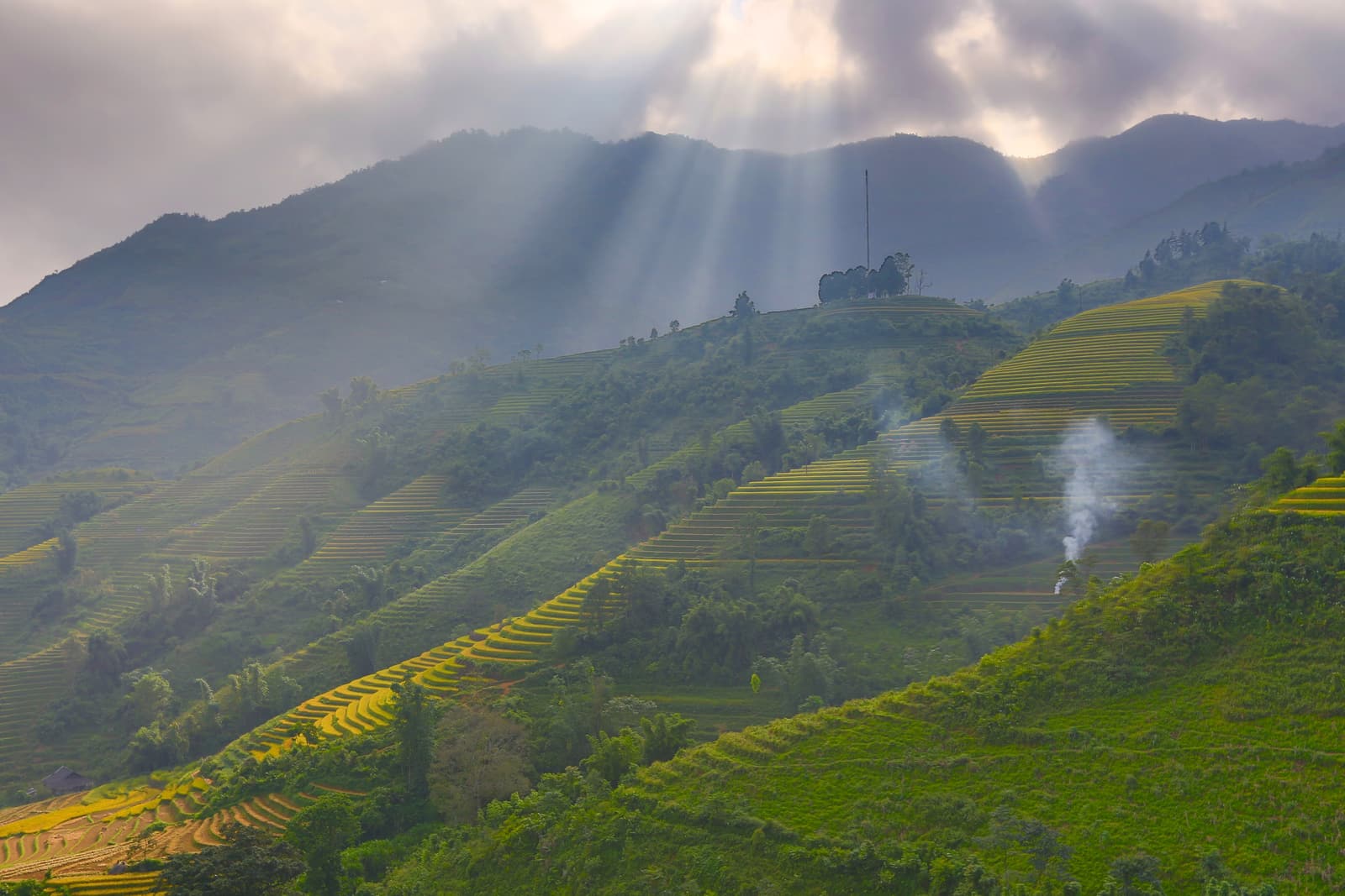 Terraced rice fields on the hillsides near Sapa